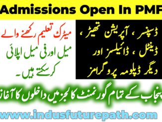 punjab medical faculty admission 2025