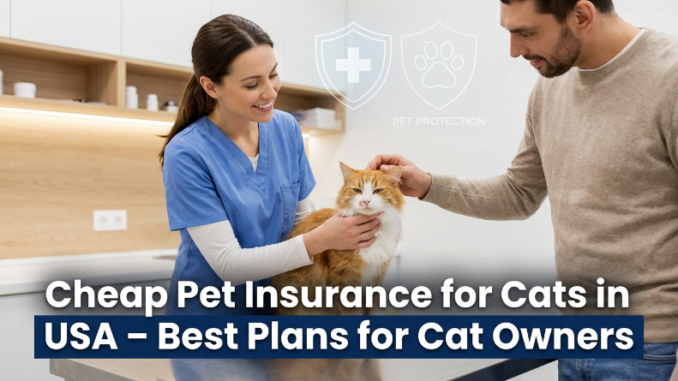 Cheap Pet Insurance for Cats in USA