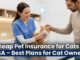 Cheap Pet Insurance for Cats in USA